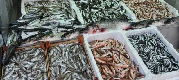 Balık bollaştı fiyatı düştü