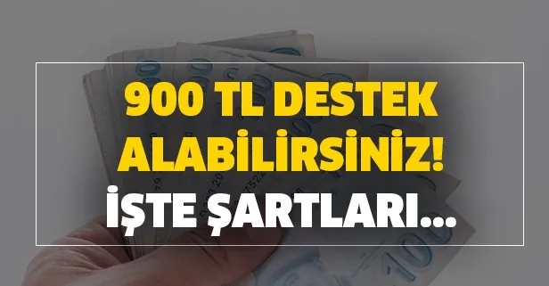 500-800-900 lira destek alabilirsiniz! Çalışmayanlara ev hanımlarına para yardımı! İşte şartlar…