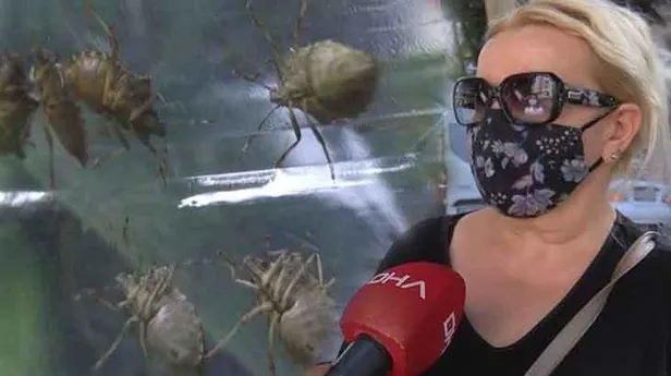 kadikoyu-istila-etmislerdi-eger-oldurulurse-kokudan-durulmuyor-yasarsa-yok-ediyor-1603352154071.jpg Korkutan istila! Eğer öldürülürse kokudan durulmuyor, yaşarsa her şeyi yok ediyor...-3