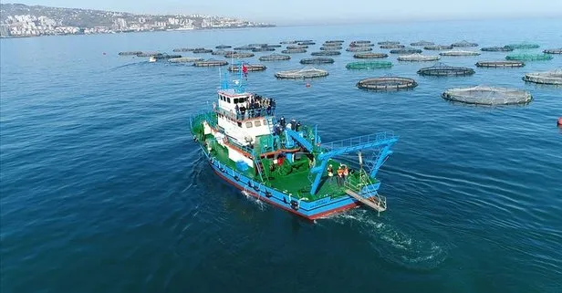 Trabzon’dan 18,4 milyon dolarlık su ürünü ihraç edildi
