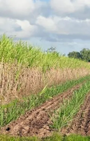Arsa satışları yüzde 20 arttı