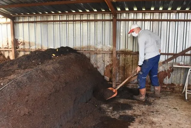 Emekli olduktan sonra Afyonkarahisar'da bu işe başladı! Paraya para demiyor! Çok hızlı çoğalıyorlar-4