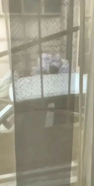 Bursa'da korkunç görüntü! Fuhuşa zorladıkları İrem'i zorla araca bindirip kaçırdılar-2