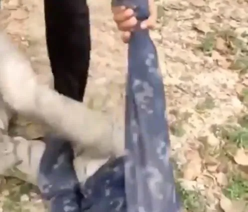 Kabahati su içmekti! Hindistan’da müslüman çocuğa acımasız saldırı