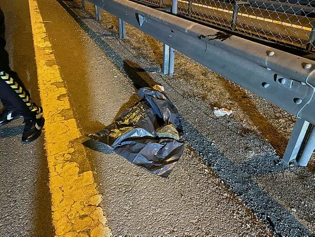 TEM Otoyolu'nda feci kaza! Otomobilin çarptığı yaya öldü-3