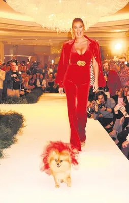 Pınar’dan çağrı