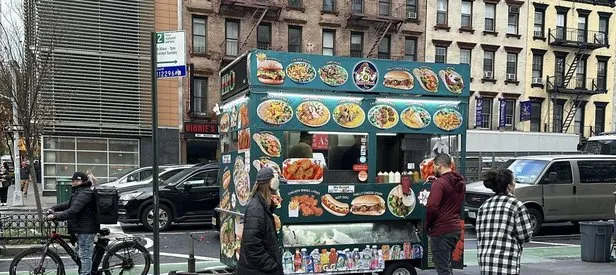 İslam düşmanı danışman gözaltında