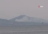 Büyükada'da orman yangını