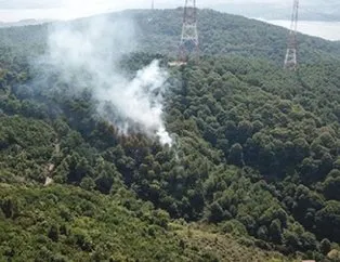 İstanbul Beykoz’da orman yangını!