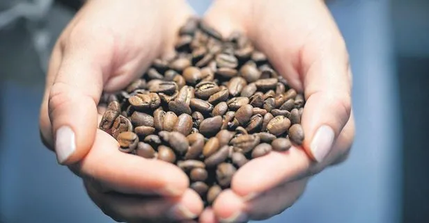 Cavid Bayramlı ve Kerem Acar, kahve atıklarından iş fikri çıkardı: Kahve atıkları kaşık oldu