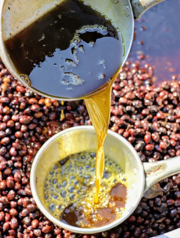 hatayda-dogada-kendiliginden-yetisen-defne-agacinin-meyvesi-yaga-donusturulug-litresi-100-liraya-satiliyor-1605765665947.jpg Hatay'da doğada kendiliğinden yetişen defne ağacının meyvesi yağa dönüştürülüğ litresi 100 liraya satılıyor-4