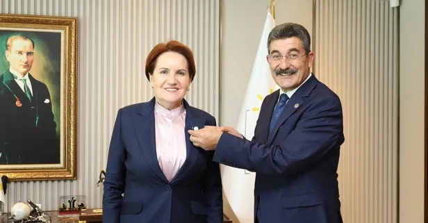 İYİ Partili Ayhan Erel'den MHP'nin "Komşu olalım" çağrısına açık kapı: "Davete icabet etmek gerekir, biz aynı çınarın dallarıyız"