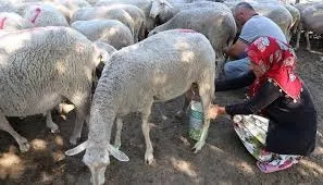 Ayda 15 bin TL kazanıyor! Siz de yapabilirsiniz... Her gün elleriyle yapıyorlar! Görenler şaşkına dönüyor!-3