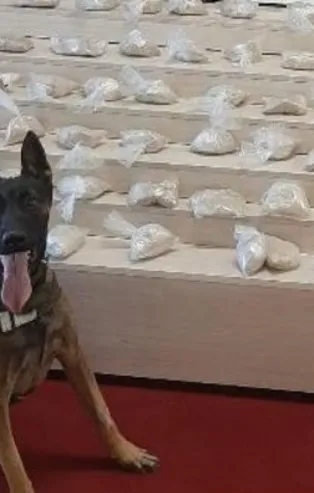 Son dakika: Van'da uyuşturucu operasyonu!