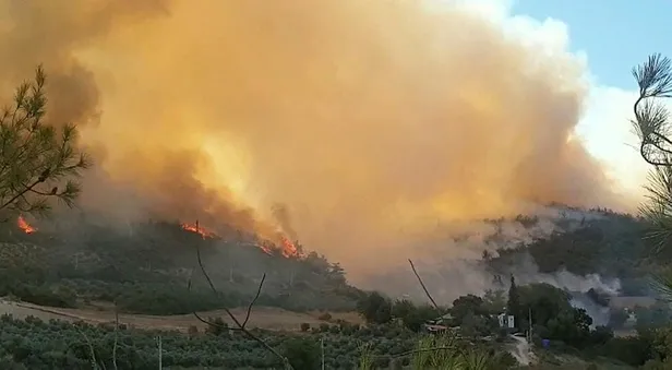 Son dakika: Osmaniye'de orman yangını! Evler boşaltıldı-2