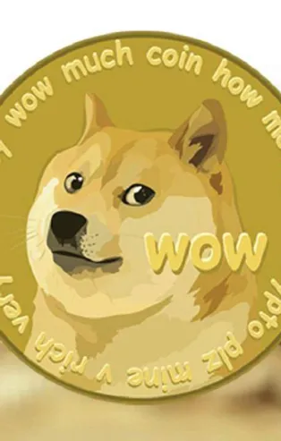 Dogecoin ile 1 milyar TL'lik vurgunda yeni gelişme: "Thodex'ten çok daha büyük"