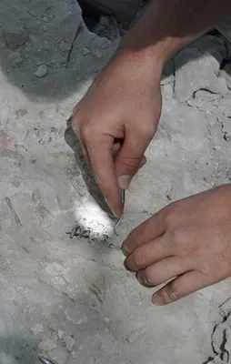 Kapadokya'da heyecanlandıran keşif