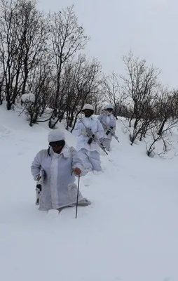 PKK'ya darbe üstüne darbe