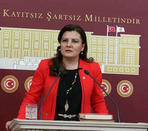 CHP’li Fatma Kaplan Hürriyet’ten 'katliam' sözleri! Tepkiler çığ gibi büyüyor-3