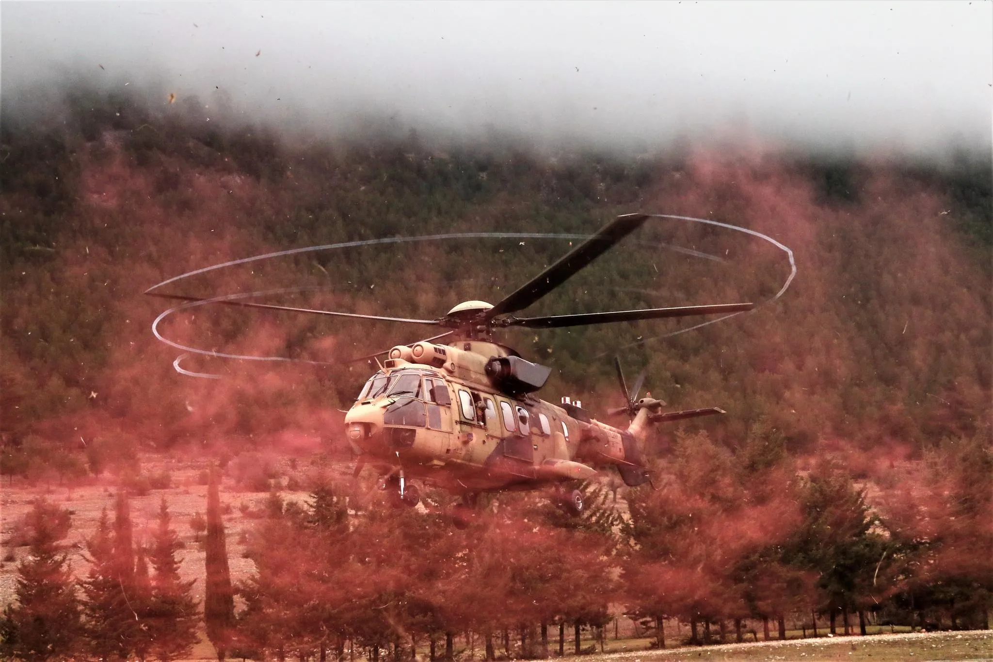 "Dağların aslanları" ansızın vuruyor