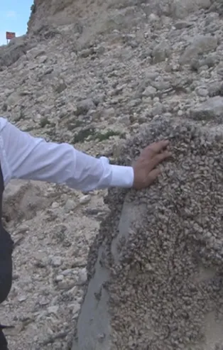 İstanbul barajlarında korkutan görüntü