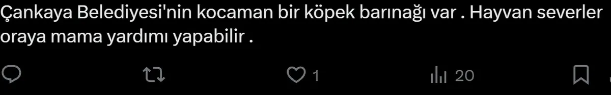 1791384095792.jpeg Çankaya'da sokak köpekleri provokasyonu: "Havla" diye bağırıp mama serptiler-4