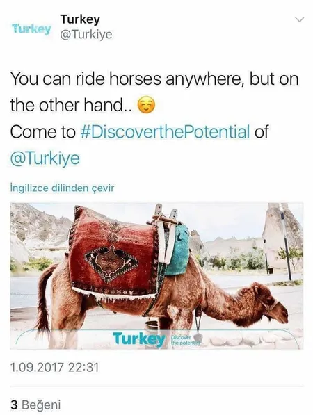 "Turkey" hesabından skandal paylaşım-1