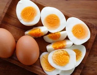 Yumurta zayıflatır