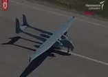 Aksungur gökyüzü ile buluştu