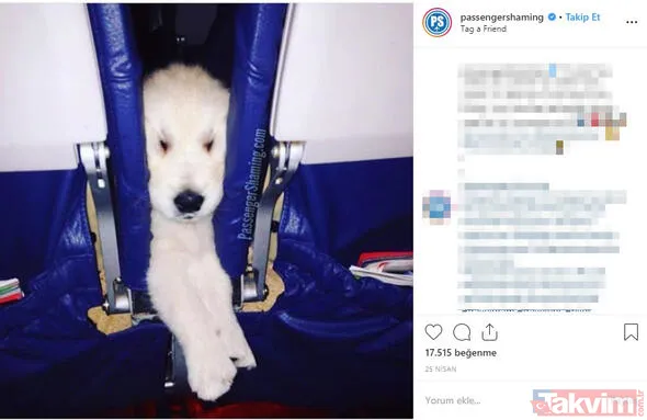 Uçakta öyle bir şey yaptı ki... Uçakta utandıran yolcular ve olaylar - 37