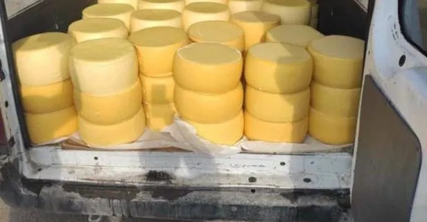 Kaçak kaşar operasyonu: 1 ton 800 kilogram kaşar peynirine el konuldu