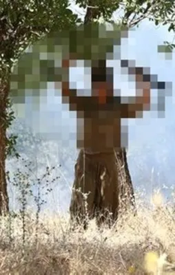 Şırnak'ta 5 terörist teslim oldu