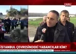 Kanal İstanbul çevresindeki yabancılar kim?