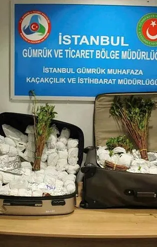 Son dakika: Bakanlık açıkladı: İstanbul Havalimanı'nda "khat" cinsi uyuşturucu ele geçirildi