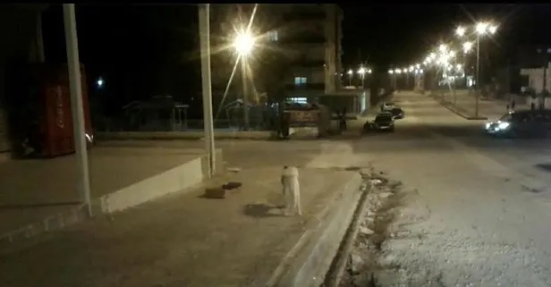 Parkta şoke eden saldırı! 3 çocuk yaralandı...