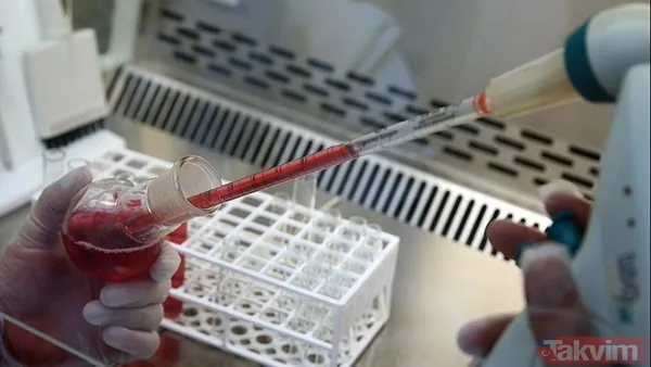 🛋️ B Grubu Neden "Tembel" Olarak Etiketleniyor? Yapılan Analizler, B Grubu Bireylerinin Genel Olarak Şu Eğilimleri Gösterdiğini Ortaya Koydu: 🧘♂️ Özgürlükçü...