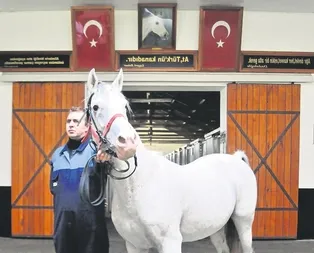 Efsane Caş’ı kaybettik