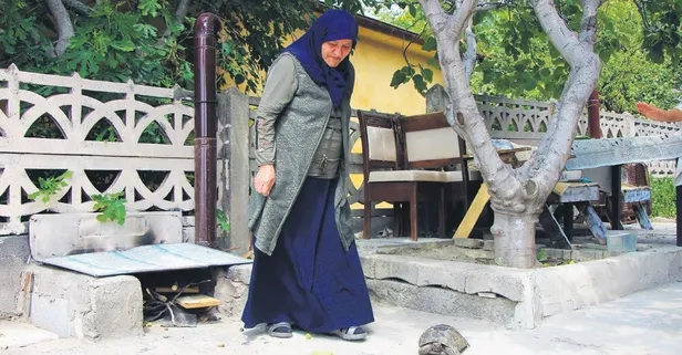 71 yaşındaki Zekiye Artut adeta bir kaplumbağa terbiyecisi