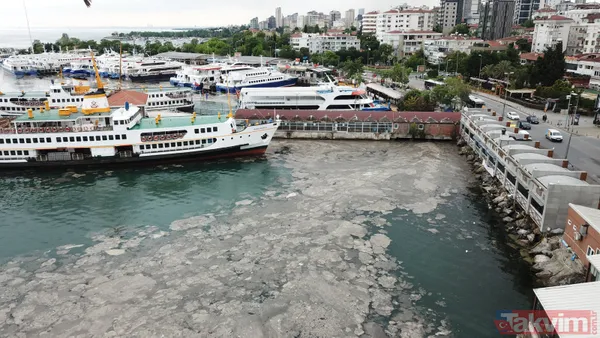 SON DAKİKA: İstanbul Bostancı'da sahili deniz salyası kapladı - 4