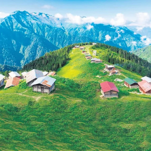 Yemyeşil Rize