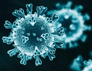 Mutasyonlu virüs hangi illerde görüldü? Mutasyonlu virüs belirtileri nelerdir?