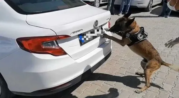 Son dakika: Van’da zehir tacirlerine ağır darbe! 74 kilo eroin ele geçirildi-3