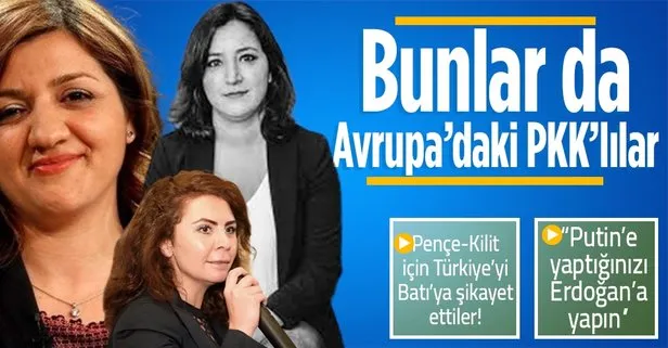 Avrupa’daki Türk düşmanı Türk vekillerin Pençe-Kilit hazımsızlığı! PKK’ya vurdukça onlardan ses geliyor