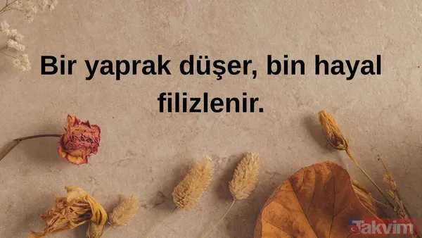 🍁Bir Yaprak Düşer, Bin Hayal Filizlenir.