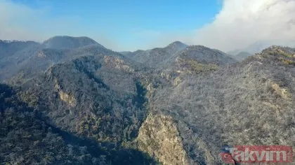 Türkiye’nin ciğerleri yanıyor! Marmaris ve Manavgat’ta kahreden kareler: Ağaçlar küle döndü