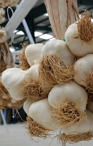 Astıma bir diş sarımsak