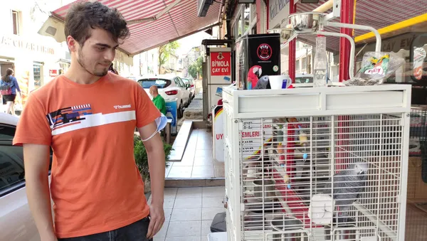 sakaci-papagan-haluk-taklit-hunerleriyle-sokaktan-gecenleri-kandiriyor-1631271361298.jpg Şakacı papağan 'Haluk' taklit hünerleriyle sokaktan geçenleri kandırıyor-4