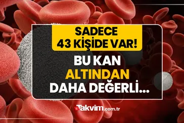 A-B-AB-0 kan grubu bir yana o bir yana! Bu kan altından binlerce kat daha değerli! Dünyada sadece 43 kişinin damarlarında geziyor