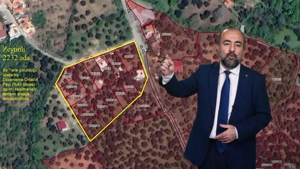 Kazdağları zeytinlik ve sahili CHP katliamına uğruyor! CHP'li siyasetçiler ve belediyeler rant alanına çevirdi-4