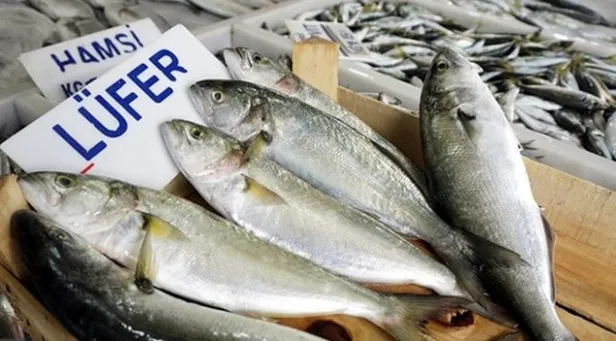 hangi-balik-ne-zaman-yenir-tekir-kefal-lufer-hamsi-cipura-mezgit-palamut-balik-turleri-ve-en-lezzetli-zamanlari-1603031349670.jpg